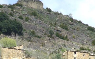  “RECURSOS NATURALS, ESPAIS ABANDONATS I DESENVOLUPAMENT LOCAL” AL PONT DE SUERT