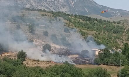 INCENDI A LA TERRETA