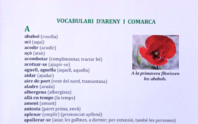 L’ENRAONAR D’ARENY
