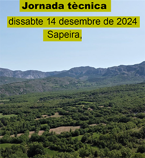 “PASSAT, PRESENT I FUTUR DE LA GESTIÓ FORESTAL A SAPEIRA”