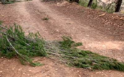 821.500 PER AL MANTENIMENT DE CAMINS MUNICIPALS AL JUSSÀ.