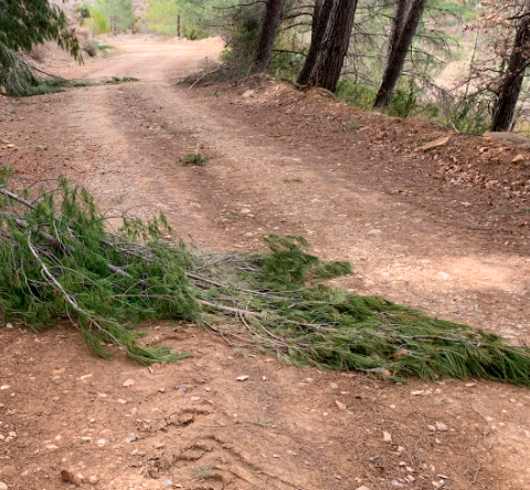 821.500 PER AL MANTENIMENT DE CAMINS MUNICIPALS AL JUSSÀ.