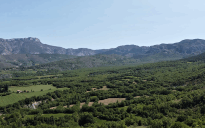 “Bany de bosc” a la Roureda d’Aulàs: una immersió terapèutica a La Terreta