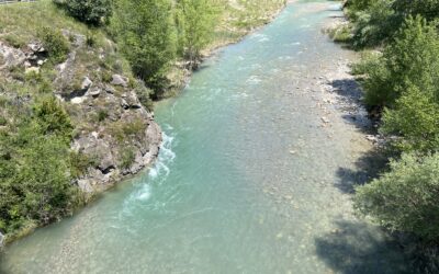 TORNA LA NOGUERA RIBAGORÇANA