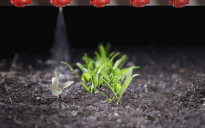 IA CONTRA LES MALES HERBES