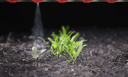 IA CONTRA LES MALES HERBES