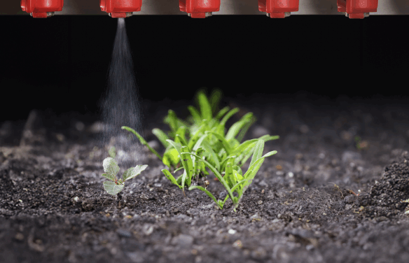 IA CONTRA LES MALES HERBES