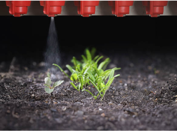 IA CONTRA LES MALES HERBES