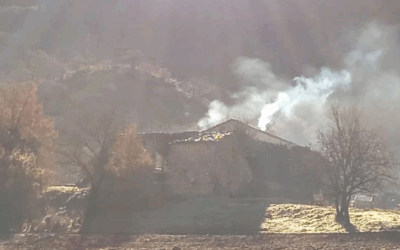 MASIES EN SILENCI: EL REPOBLAMENT RURAL CATALA ENTRE EL DISCURS I LA REALITAT.