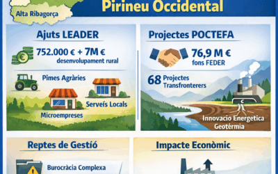 FONS ESTRUCTURALS I DINAMITZACIÓ AL PIRINEU OCCIDENTAL