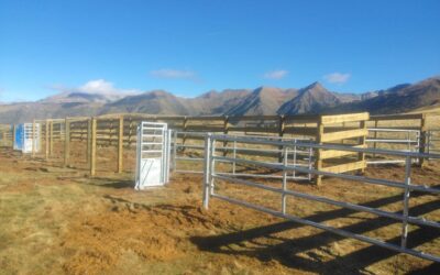 LA VALL DE BOÍ BLINDA LA RAMADERIA D’ALTA MUNTANYA
