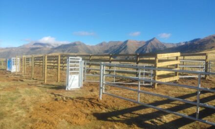 LA VALL DE BOÍ BLINDA LA RAMADERIA D’ALTA MUNTANYA