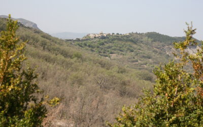 SAPEIRA IMPULSA «MÉS CLAR QUE L’AIGUA»