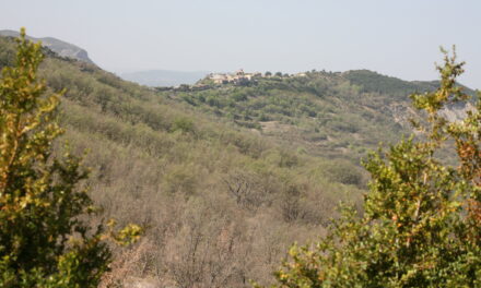 SAPEIRA IMPULSA «MÉS CLAR QUE L’AIGUA»