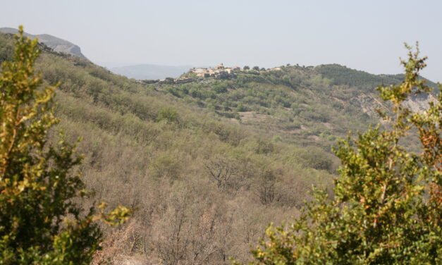 SAPEIRA IMPULSA «MÉS CLAR QUE L’AIGUA»