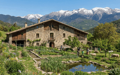 DEPURAR AIGÜES RESIDUALS EN ZONES RURALS