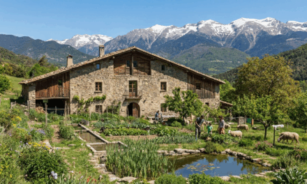 DEPURAR AIGÜES RESIDUALS EN ZONES RURALS