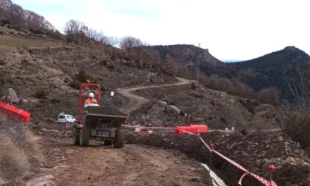 Endesa reforça la xarxa elèctrica entre el Pallars Jussà i l’Alt Urgell