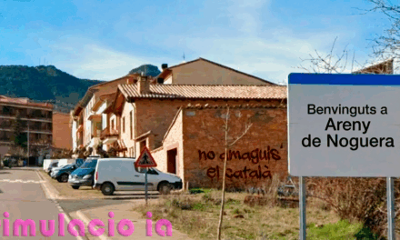 CATALA A LA FRANJA. LES ENTITATS CONTRATAQUEN