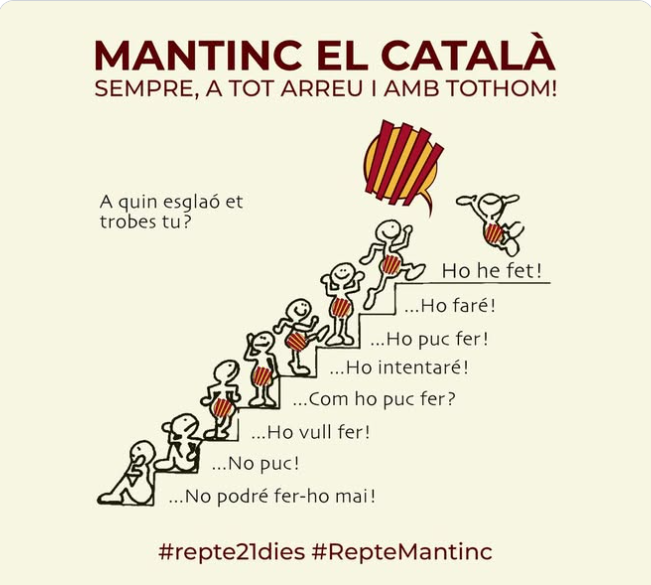 Captura de pantalla 2026-05-21 100808