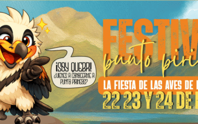 segona edició del Festival d’Aus ‘Punto Pirineos’,