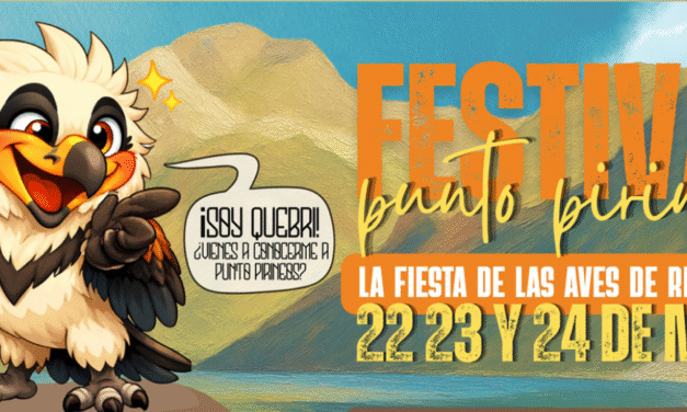 segona edició del Festival d’Aus ‘Punto Pirineos’,
