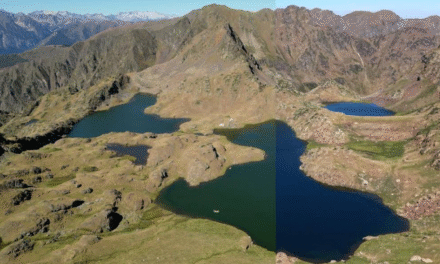 El Parc Natural de l’Alt Pirineu erradica el veró dels Tres Estanys i recupera els amfibis