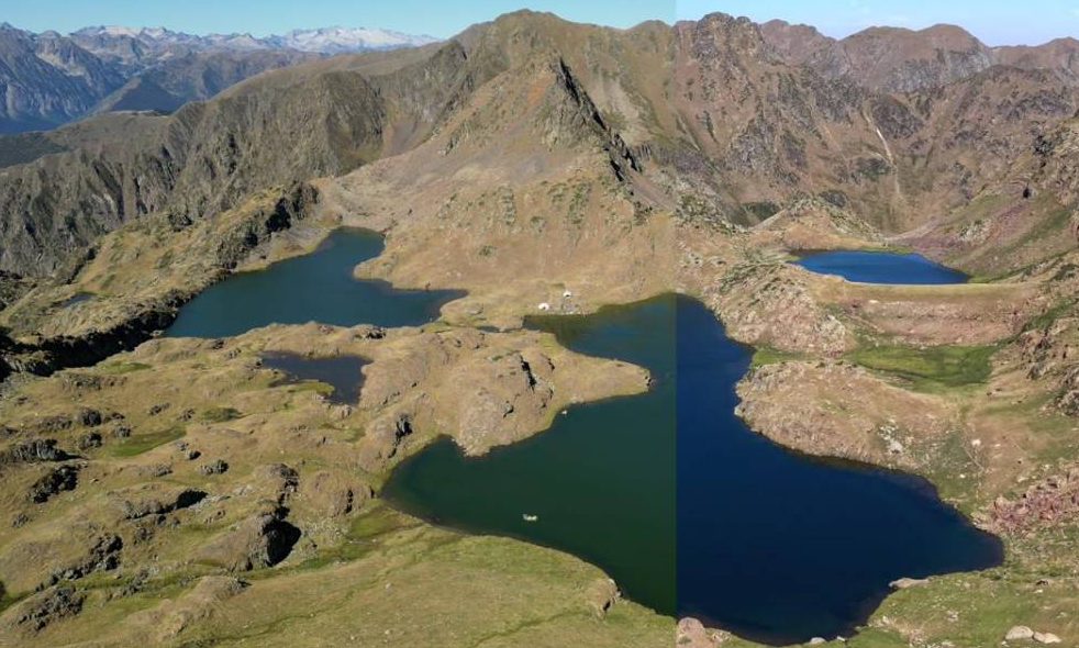 El Parc Natural de l’Alt Pirineu erradica el veró dels Tres Estanys i recupera els amfibis
