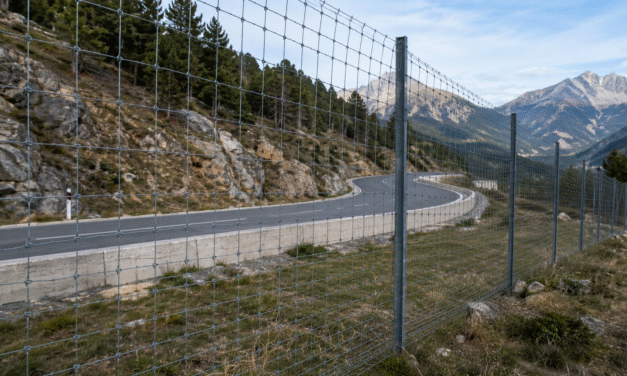 TANQUES A L’N-230 ENTRE BENAVARRI I SOPEIRA